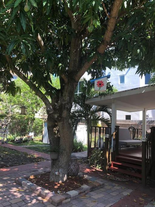Independent Studio In Little Havana Miami Exterior photo